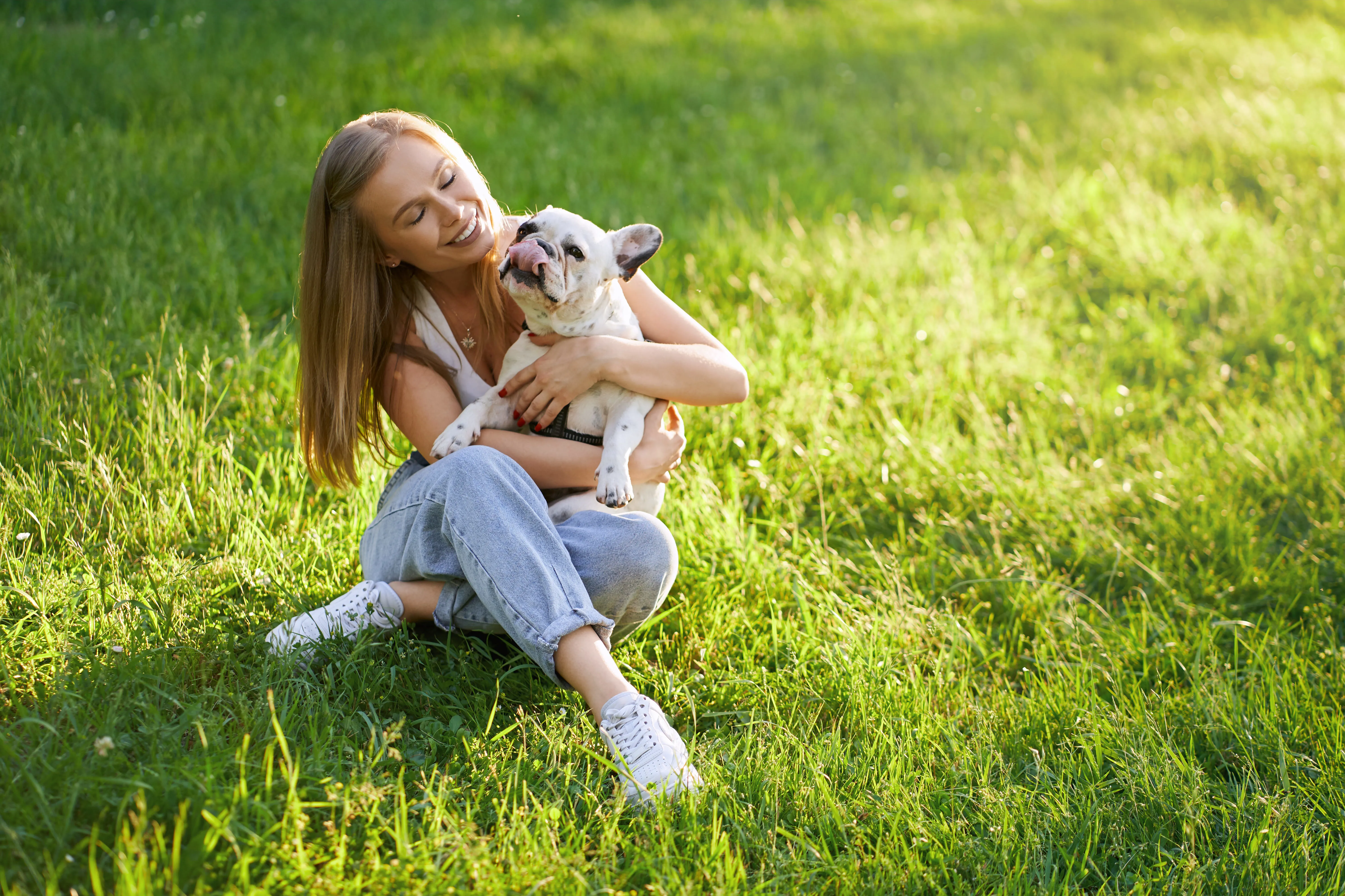 Leishmaniosi nel Cane: Guida Completa su Sintomi, Cura e Prevenzione