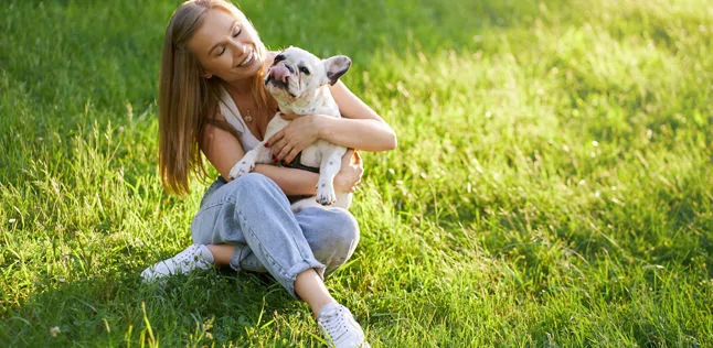 Leishmaniosi nel Cane: Sintomi, Diagnosi e Cura | Amb. Veterinario Mosele