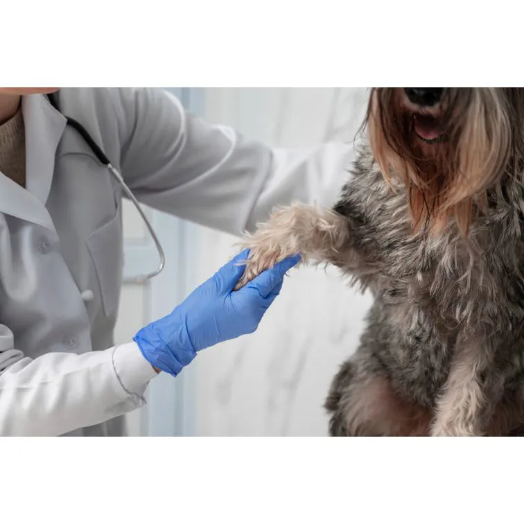 Vaccinazioni